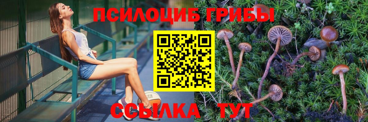 Галлюциногенные грибы Cubensis Слободской